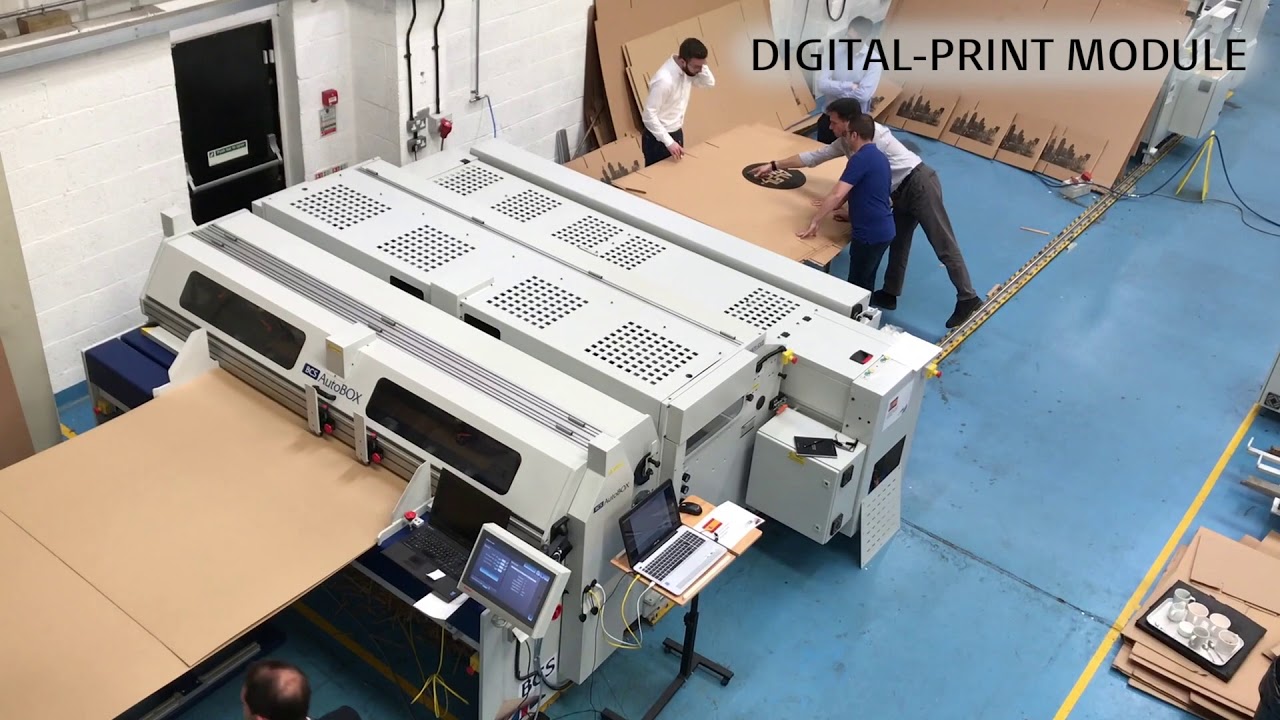 Inline digital print