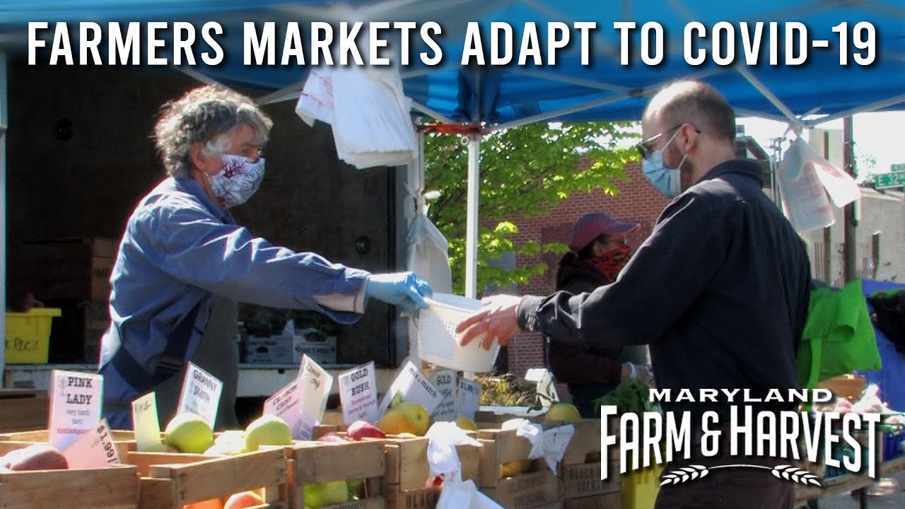 How Farmers Markets Adapt to COVID-19 | Maryland Farm & Harvest