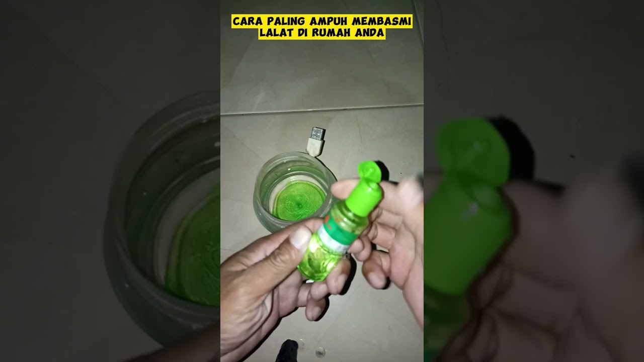 cara paling ampuh memb4smi lalat di rumah!! #idekreatif #tutorial #lifehacks