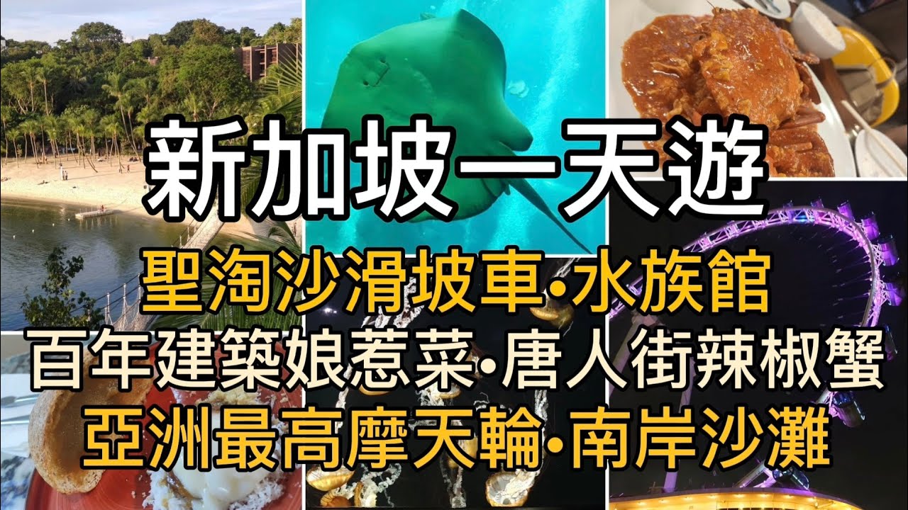 [新加坡2025] EP05 新加坡一天遊 | 聖淘沙必到景點 | 亞洲最大水族館 | 牛車水辣椒蟹 | 亞洲最高摩天輪 | 聖淘沙南岸沙灘 | 新加坡娘惹菜 | 新加坡景點推介