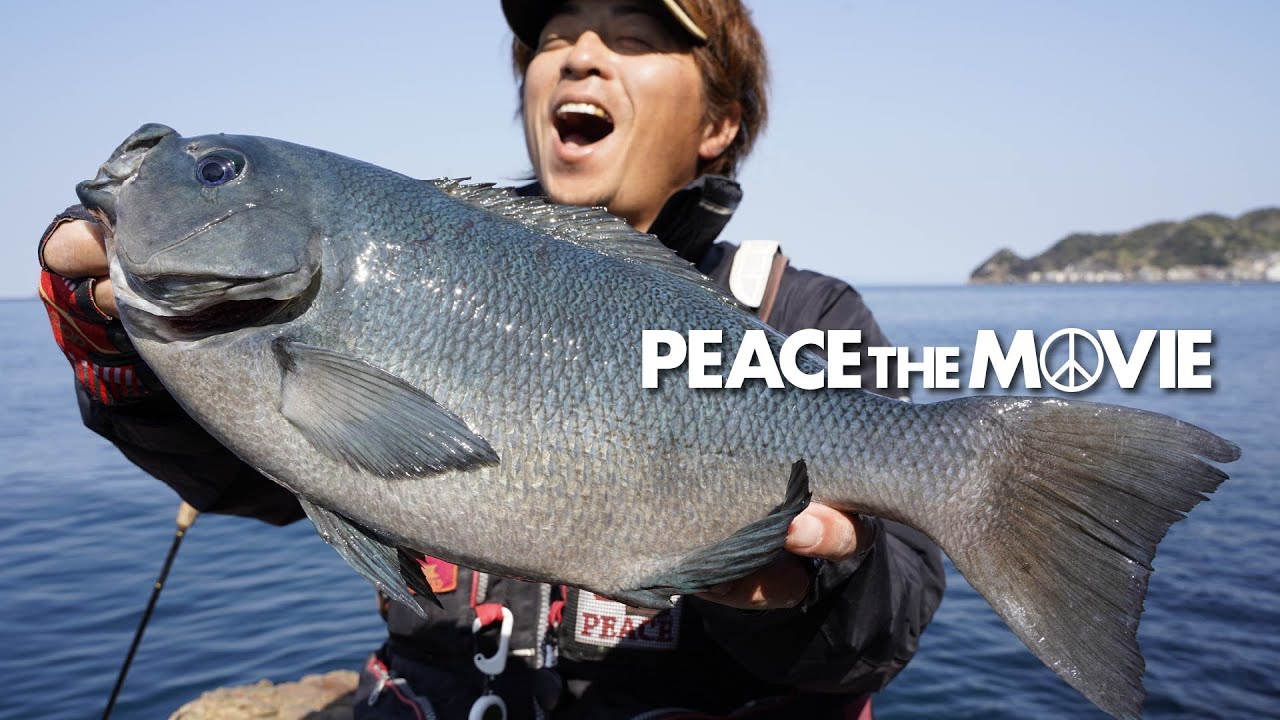 PEACE THE MOVIE #87「初津久見でグレ釣り!!」九州地方・大分県津久見の旅(前編)/平和卓也(1043)