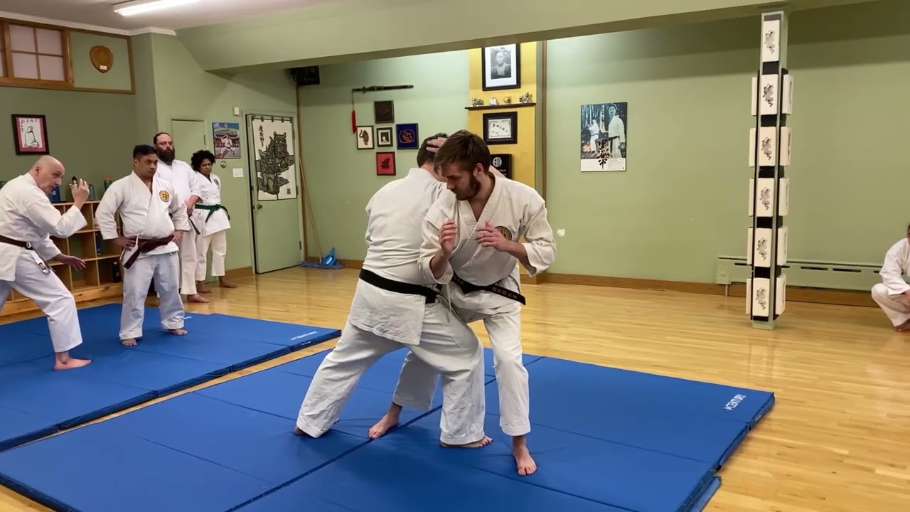 Meibukan Goju Ryu Karate Sanseiryu Elbow Punch