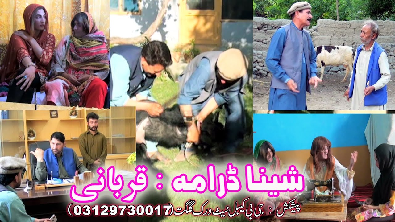 Shina New Drama 2023 | Qurbani | Eid e Qurban Special Drama || Shina Movie 2023 || Sakhi Productions