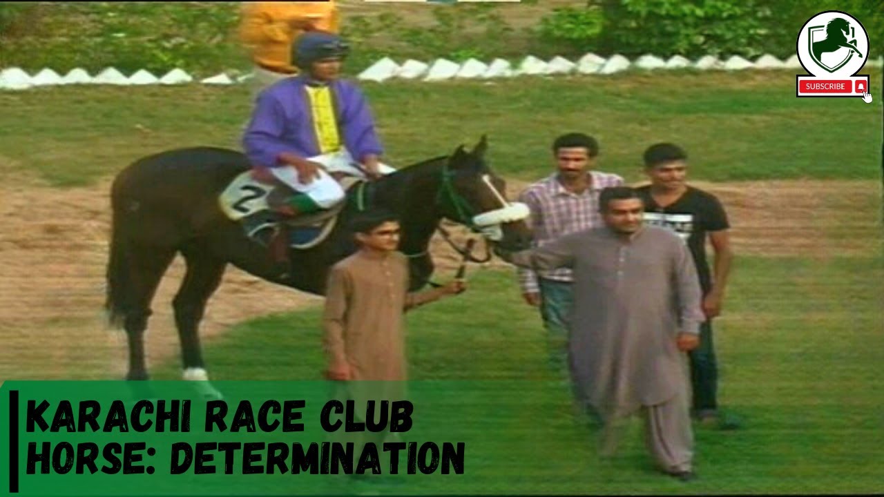 KRC | Winning races of the horse Determination | Cups of 2019