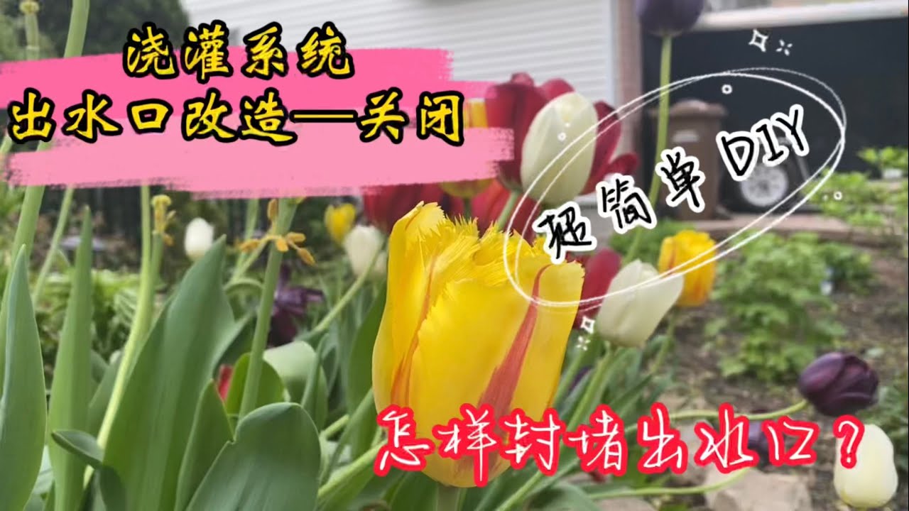 Rain bird 浇灌系统改造之关闭出水口 | 封堵出水口