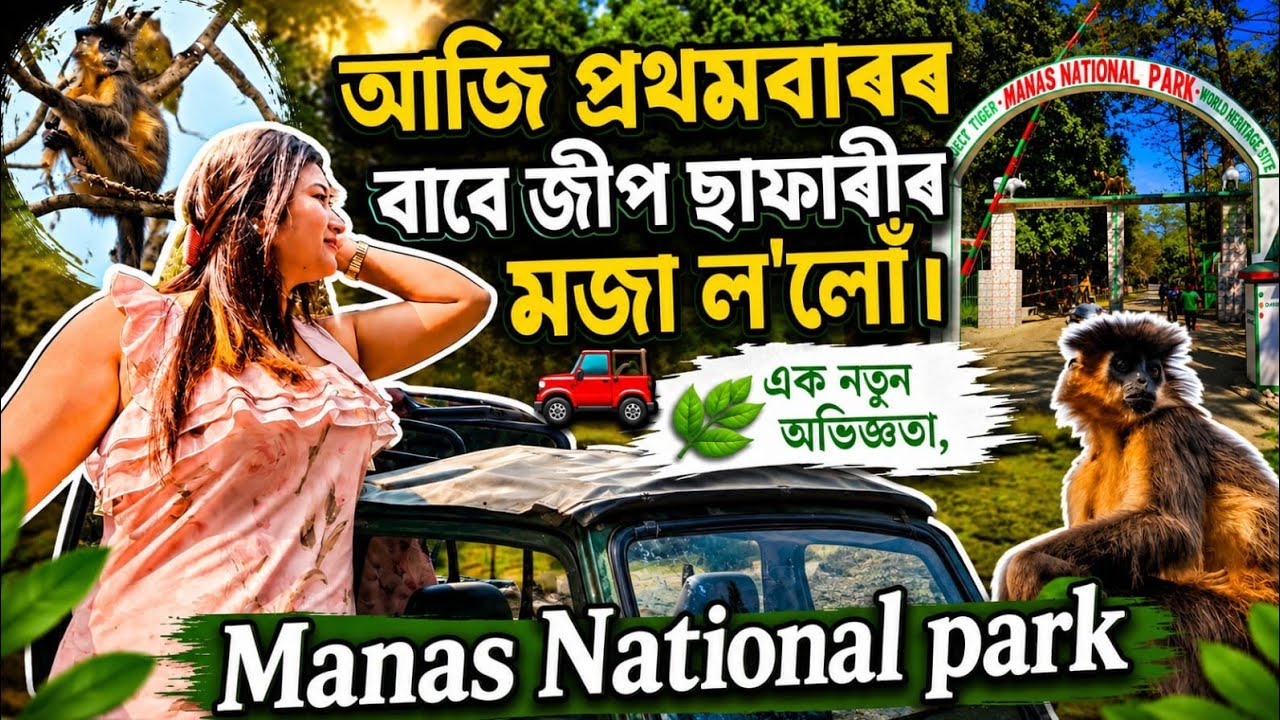 Exploring the Untouched beauty of Manas National park 🏞️ অসমৰ গৌৰৱ// প্ৰকৃতিৰ লগত এটা দিন 🌿🦏🦣🐘🦚