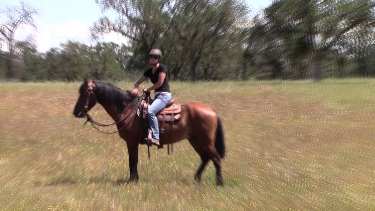 Wild Horse First trail ride 2016