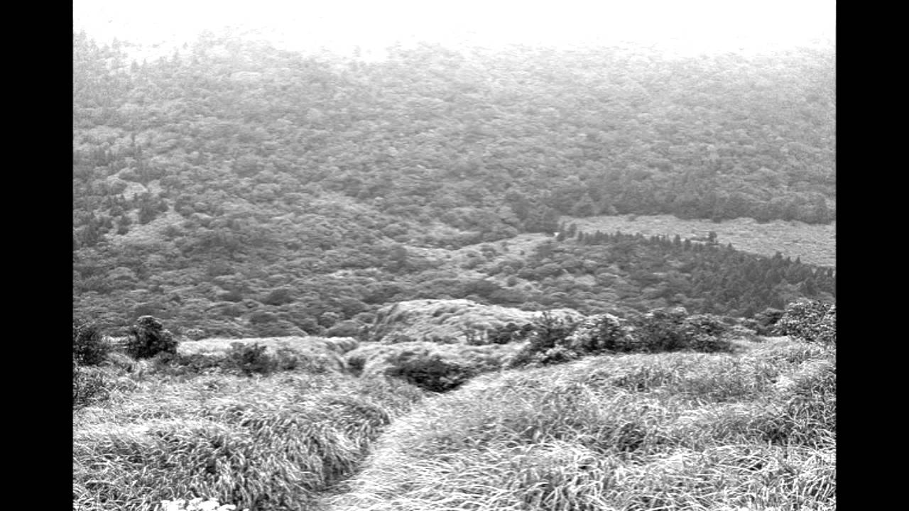 Concrete Fence (Regis & Russell Haswell) 'Industrial Disease'