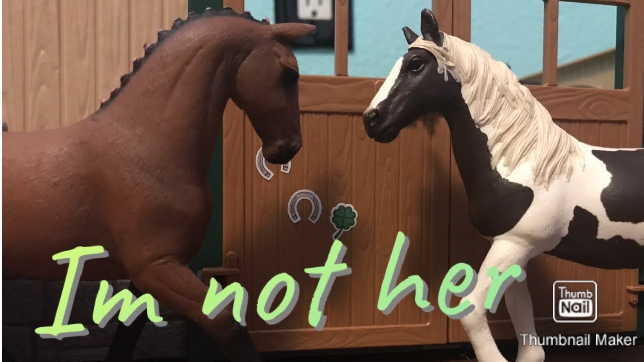I’m not her ( Schleich Music video)
