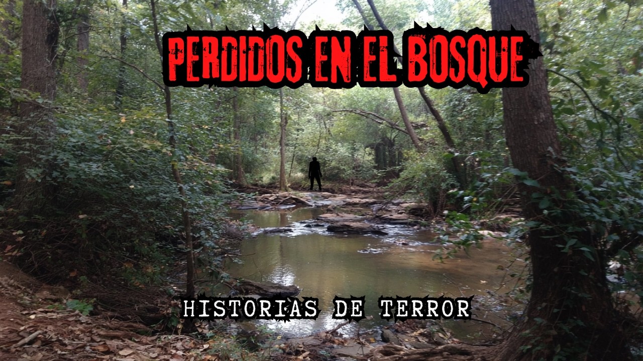 10 ATERRADORES relatos en el BOSQUE!/ Historias de TERROR