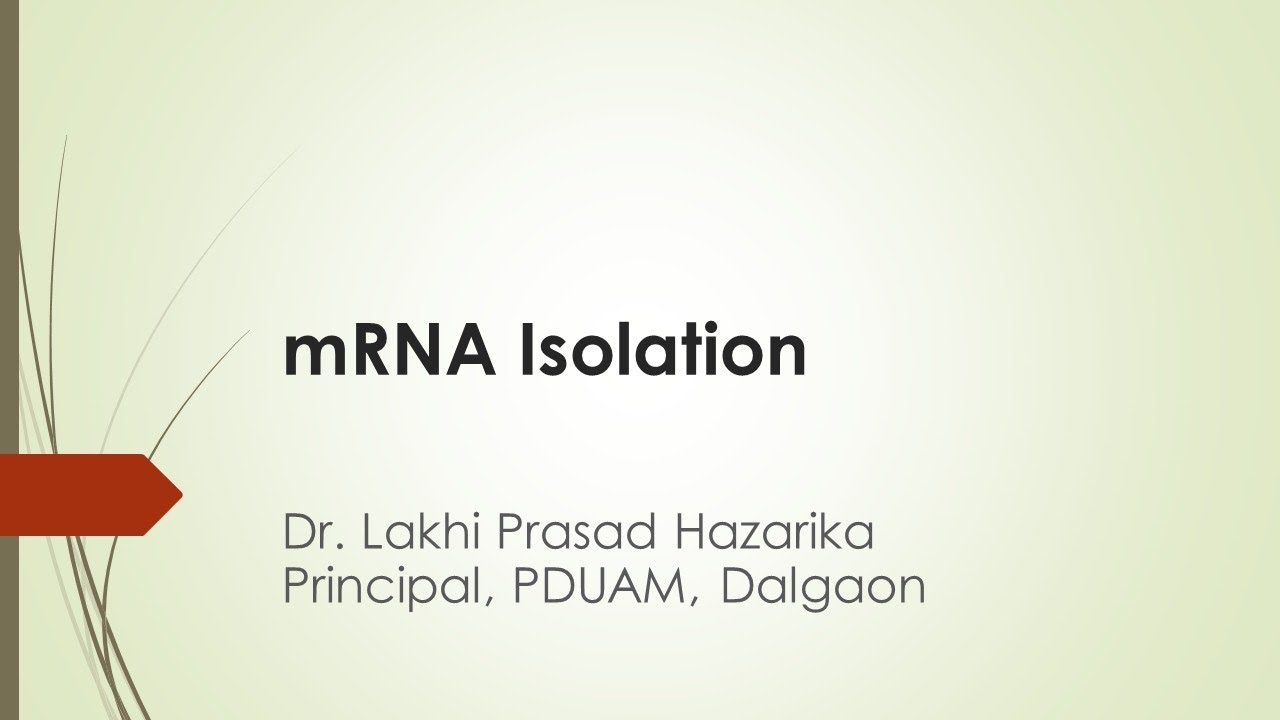 Biotechnology - Part 4 : mRNA Isolation (in English & Assamese)