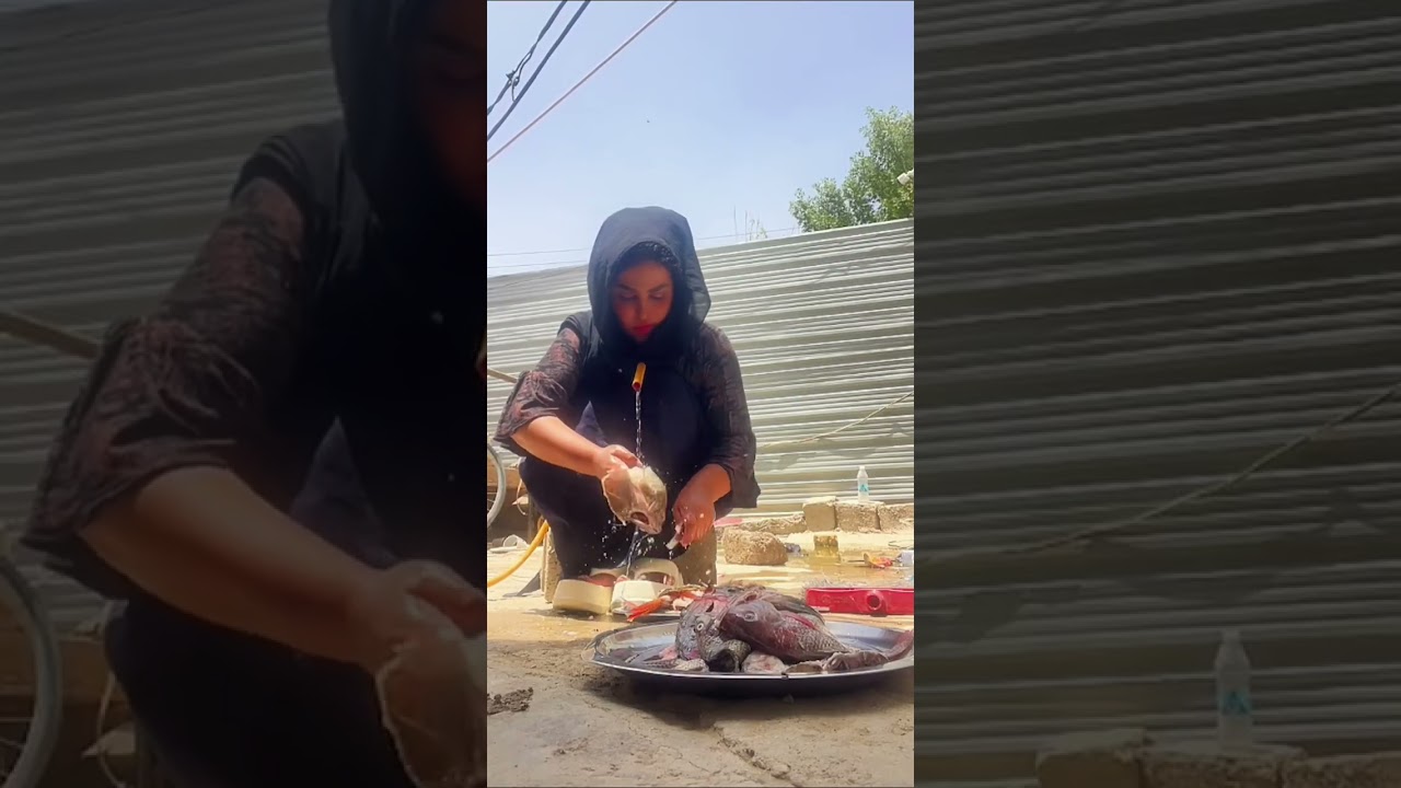 تعالن ننضف السمج اني وياجن بنات/ بث زينب بت الديوانيه