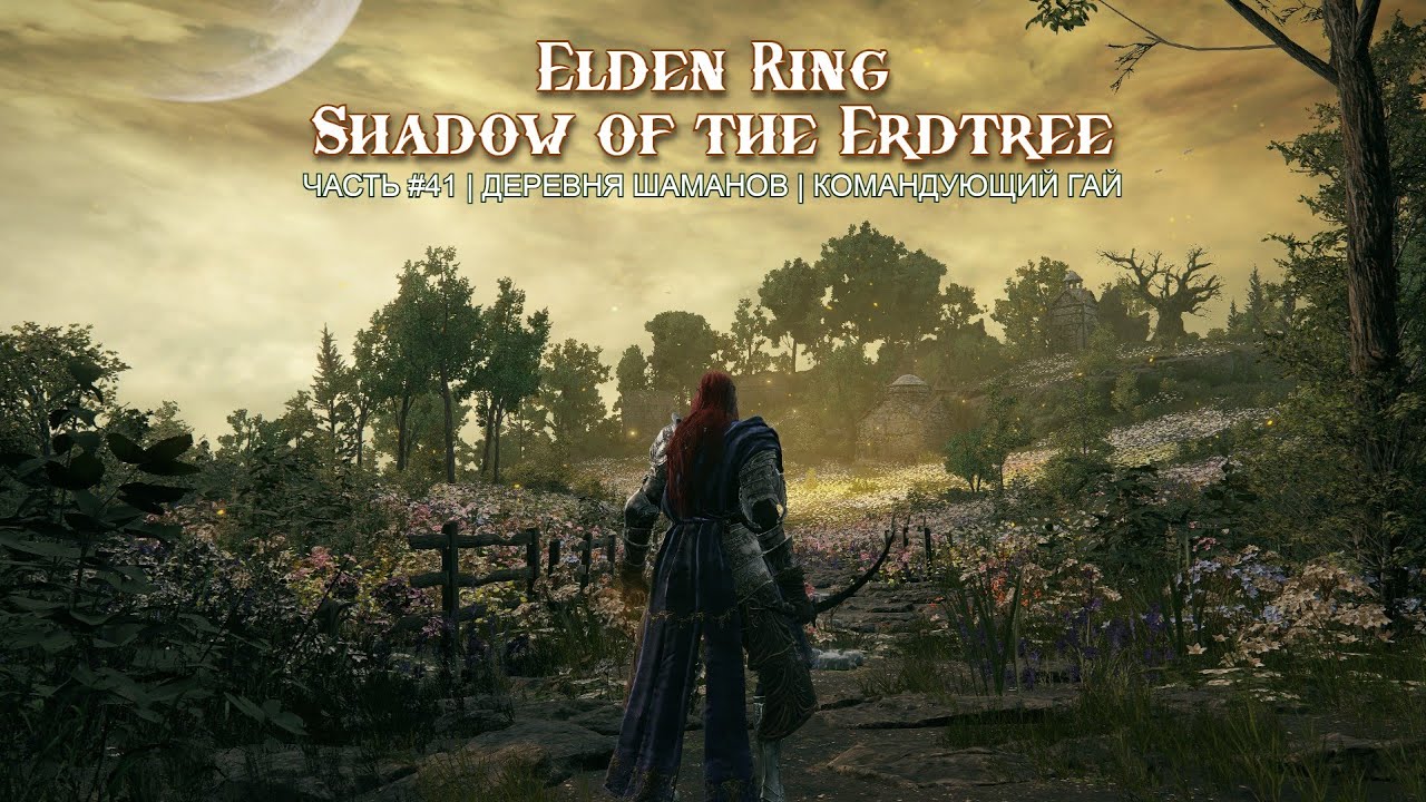 Боссы испытывают терпение в видениях... Часть 41 | Elden Ring: Shadow of the Erdtree
