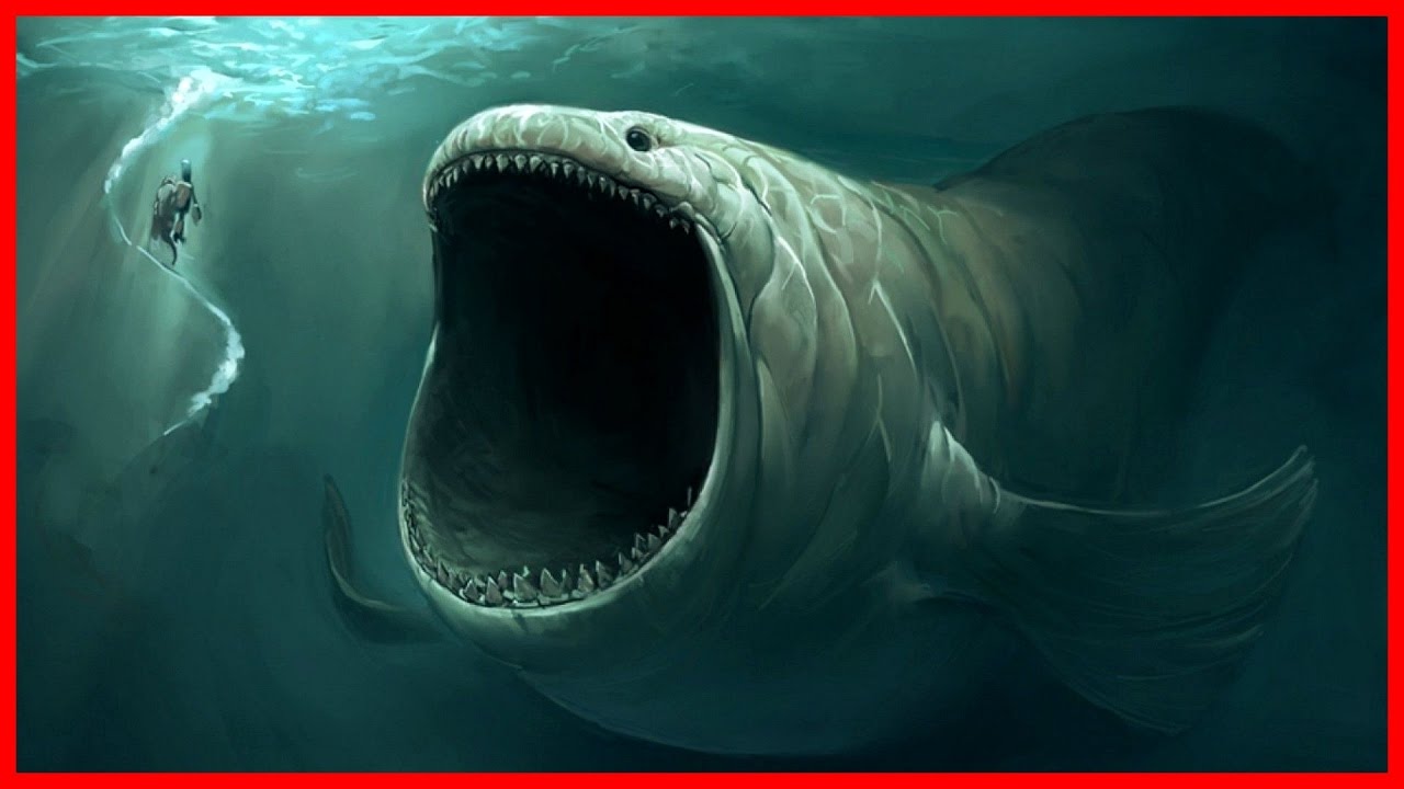 Dangers in the Deep: World's Deadliest Sea Creature - HD Documentary
