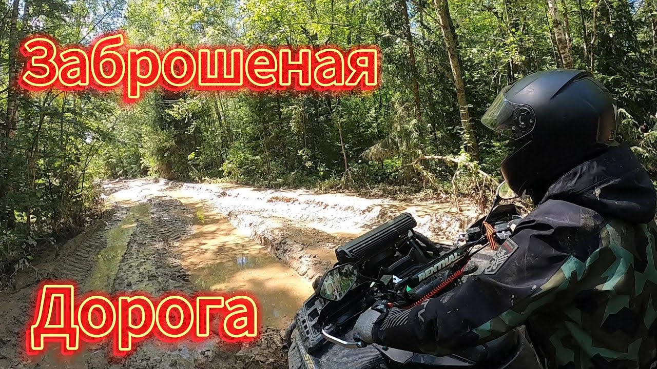 Заброшенная дорога | Лесная лесовозка