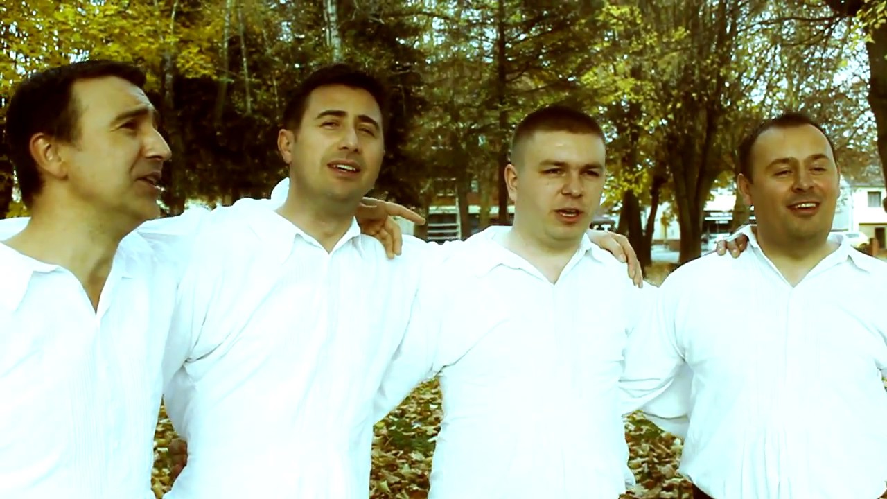 TS  SATIR  -  GODINE SU DA SE BROJE