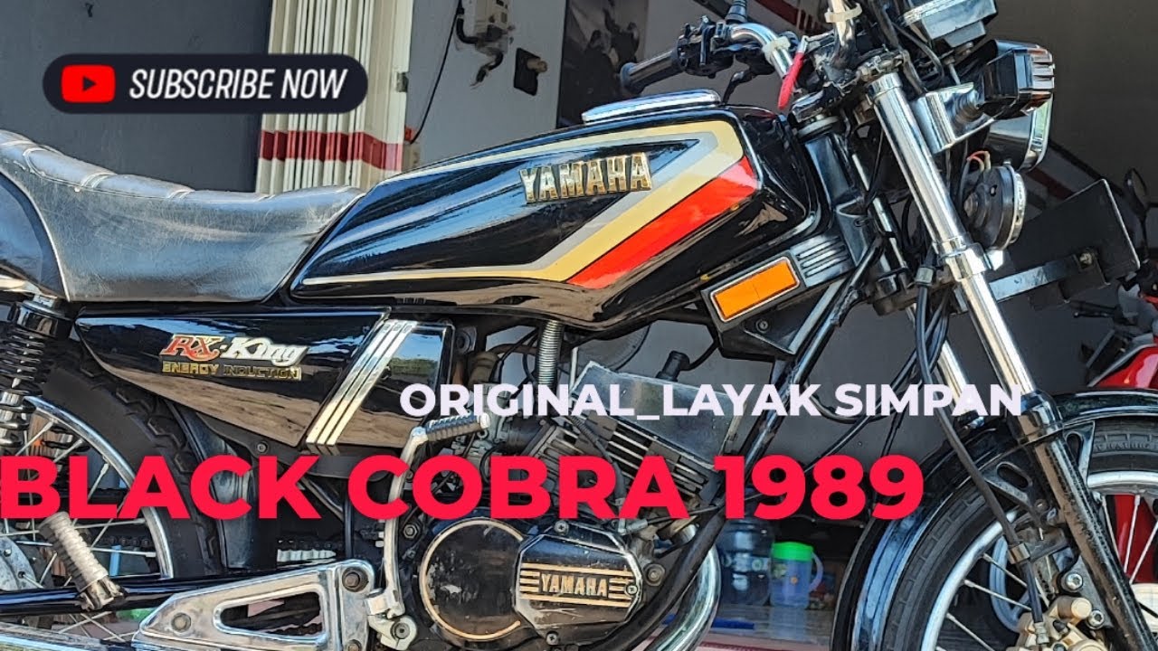 ORIGINAL  BLACK! X KING COBRA 1989, UNIT STANDAR OAYAK KOLEKSI #rxking #kingcobra