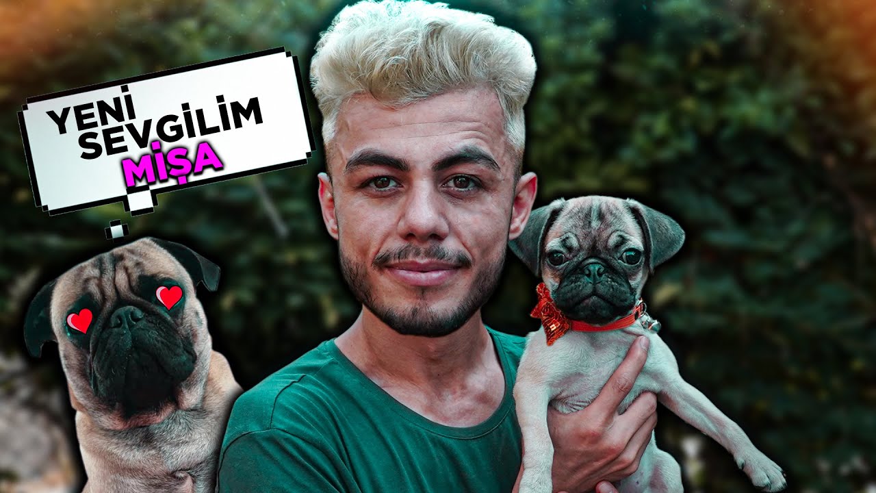 YENİ KÖPEĞİM MİŞA !! (MARAZA SEVGİLİ BULDUK)