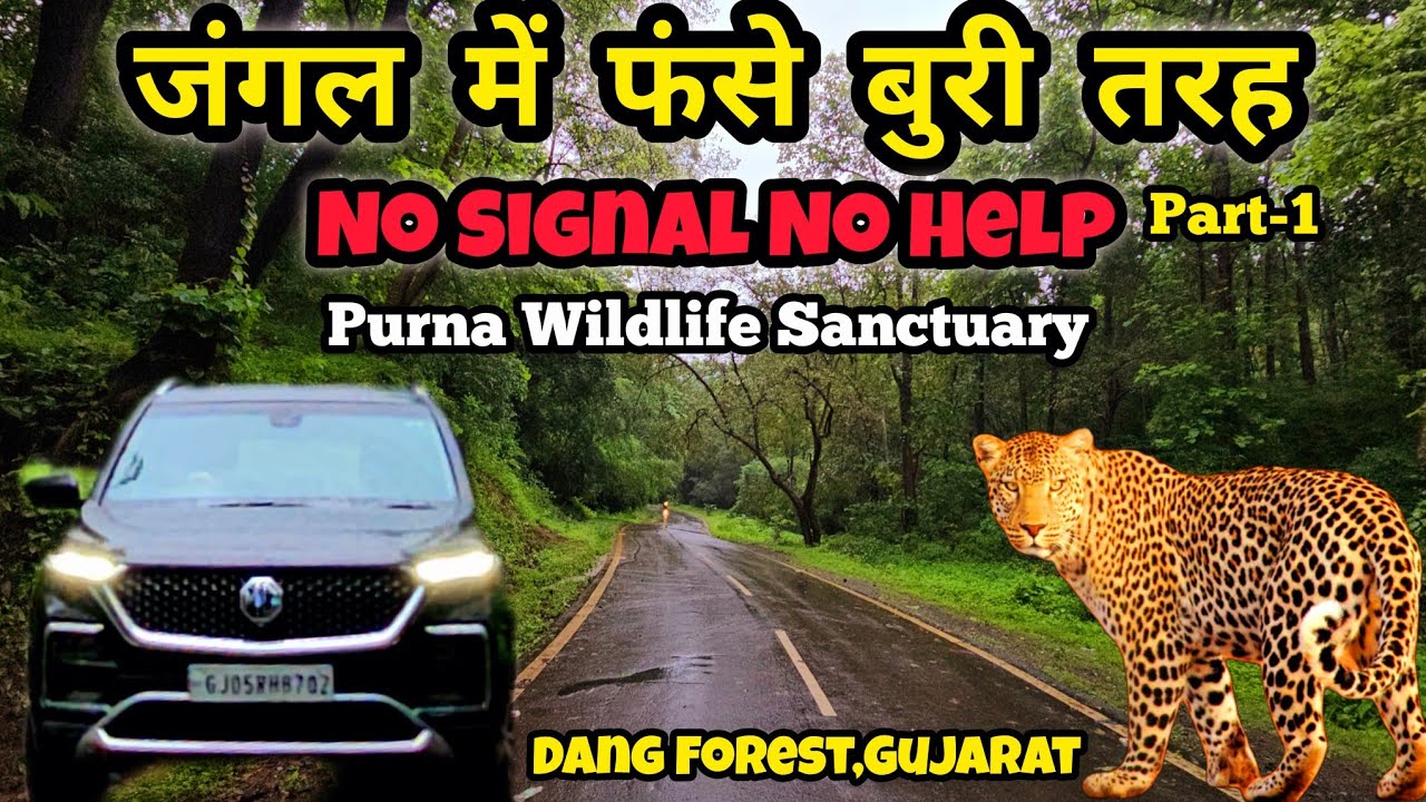 जंगल में बुरा फंसे | Purna Wildlife Sanctuary Mahal Eco Tourism | Dang Forest | In Search Of Leopard