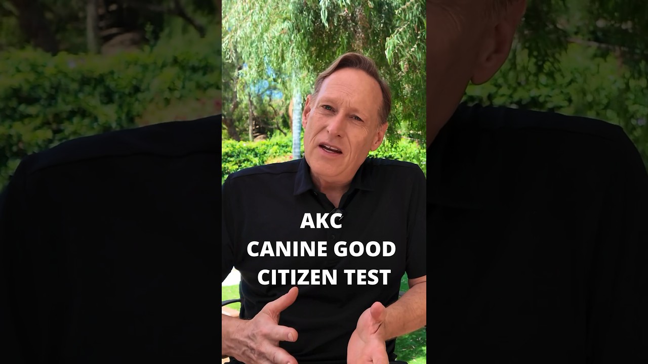 The 10 steps to the American Kennel Club&rsquo;s &ldquo;Canine Good Citizen&rdquo; Test&hellip; (Part 1) #akc #k9 #dog #test