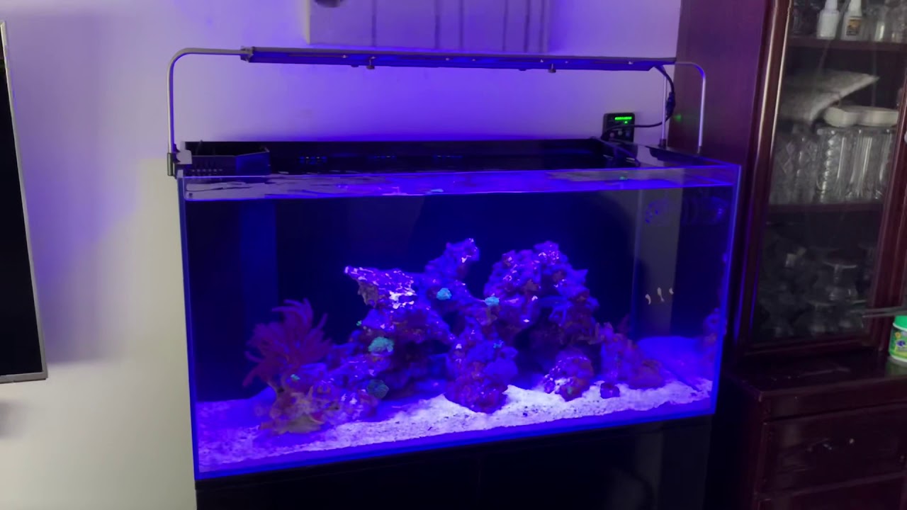 Aqua One 180 Mini Reef