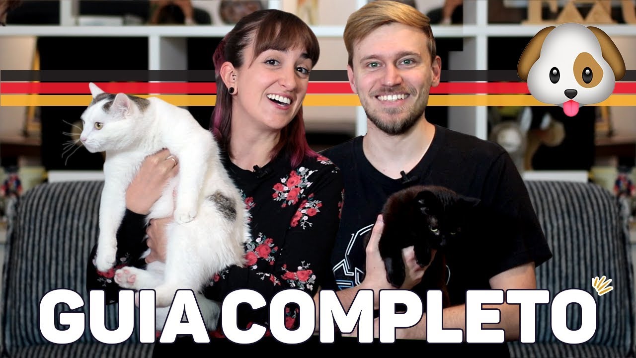 PETS NA ALEMANHA: PRIMEIROS PASSOS, CUSTOS E BUROCRACIAS - Alemanizando
