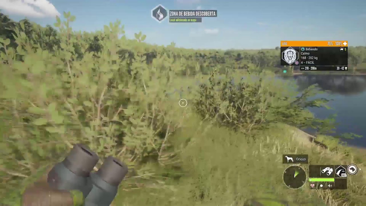 Em busca do leão branco da savana EP4