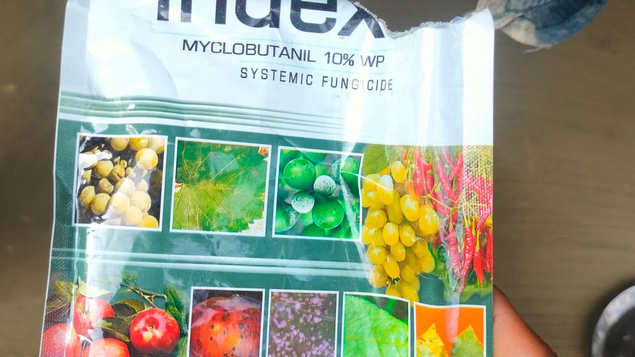 #Nagarjuna company index basis fungicide 79.99% result