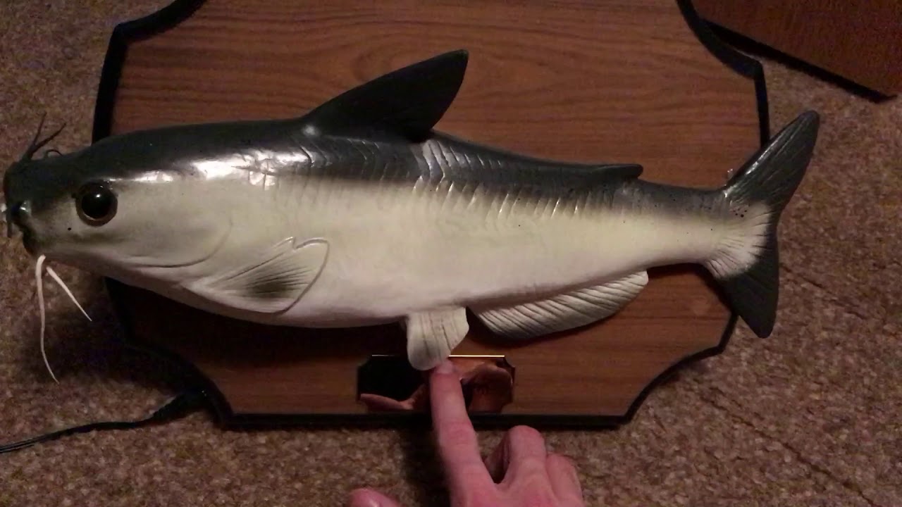 *** SENSATIONAL SAMMY *** (Singing Fish)