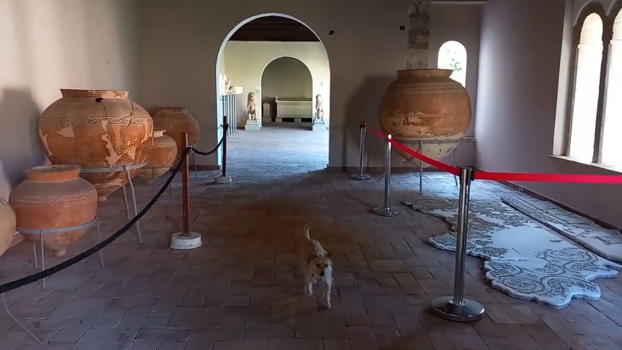 Il sito archeologico di APOLLONIA - feb 2025