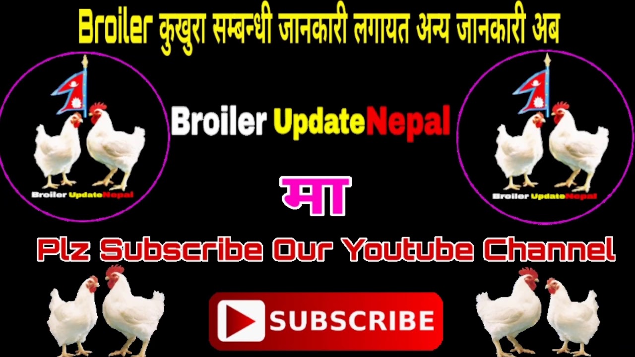 ||बोइरल कुखुरा को खोप तालीका||BROILER UPDATE NEPAL ||