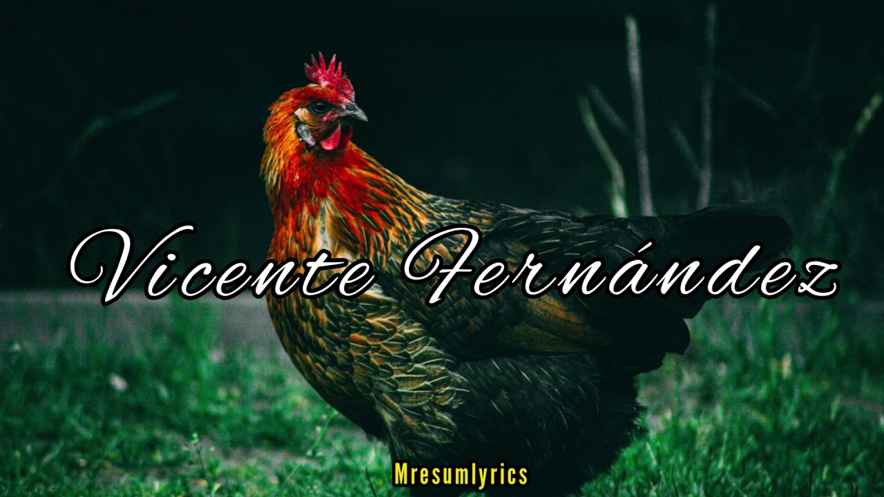 El Gallo Negro - Vicente Fernández - Letra