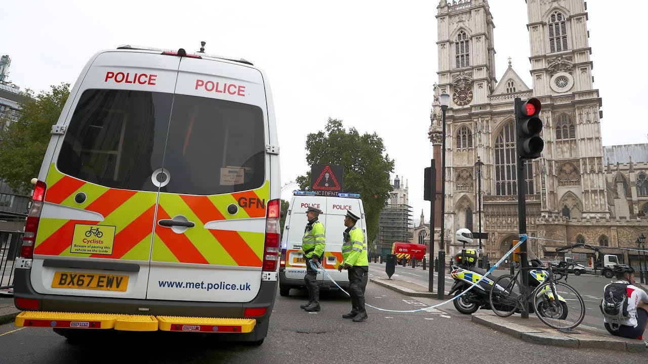 Terror probe after car crash at British Parliament