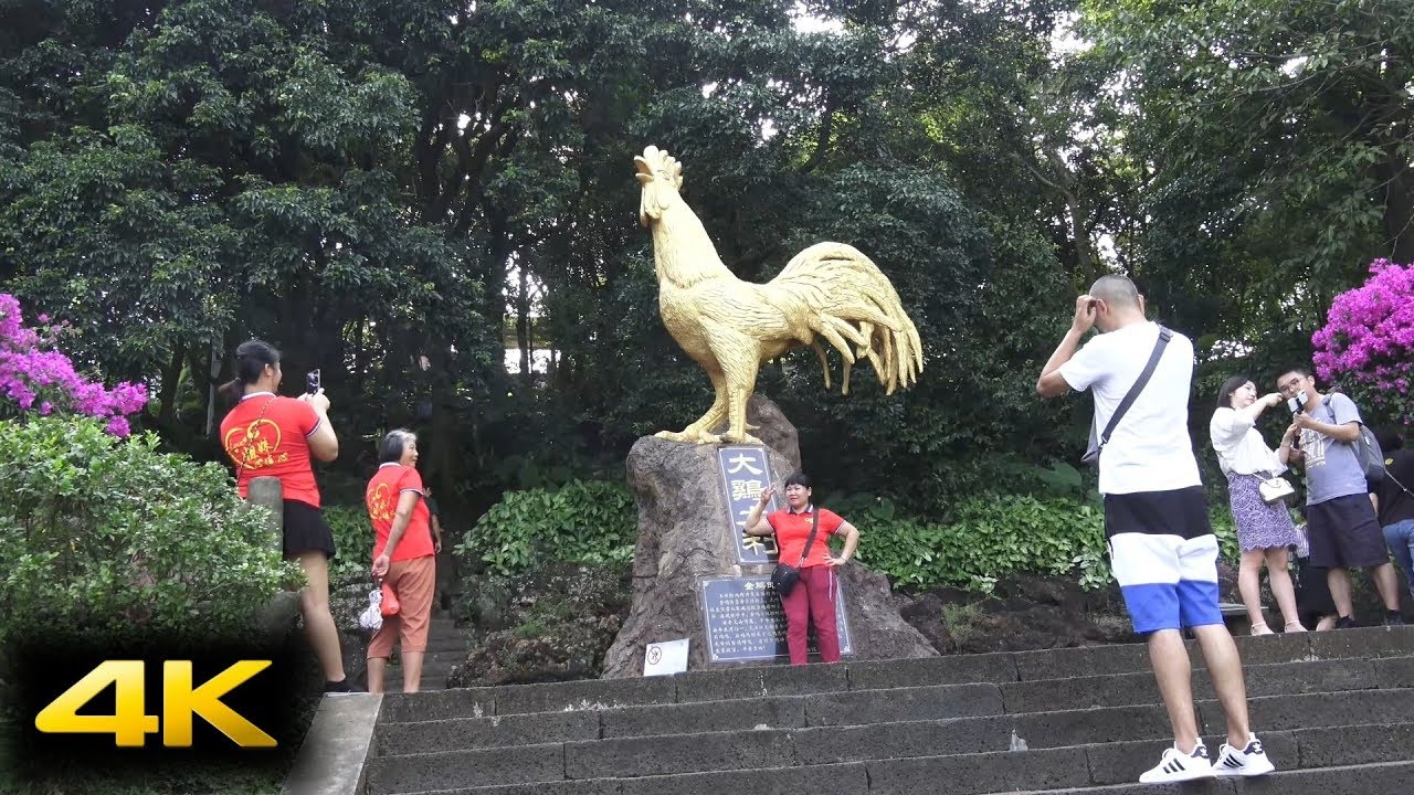 2019 1022海南島五日遊 Day 5  瓊海~海口_火山地質公園_海口美蘭機場~高雄小港機場 (4K)