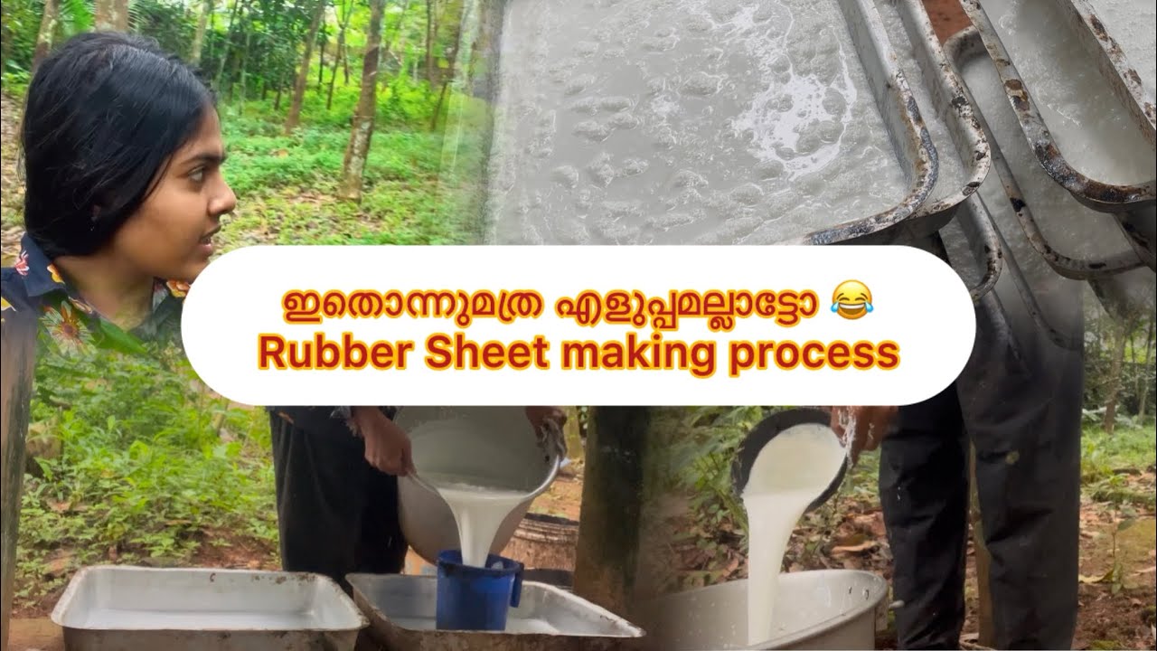 എല്ലാത്തിനും അതിന്റേതായ കഷ്ടപ്പാടുണ്ട് 😍Rubber sheet making process #rubbersheet #makingvideos 