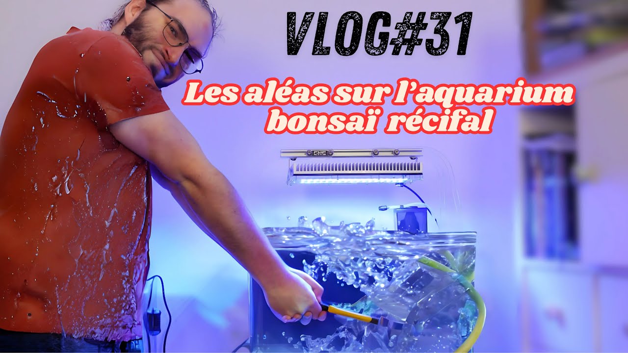 [VLOG#31] Axel : Les aléas sur l’aquarium bonsaï récifal