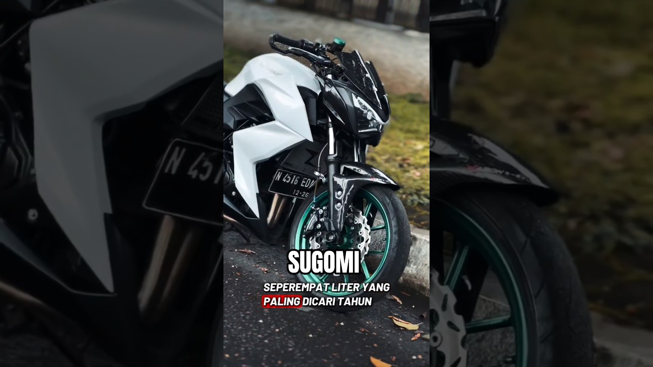 Sugomi Kawasaki Z250 #youtubeshorts #kawasaki #shorts
