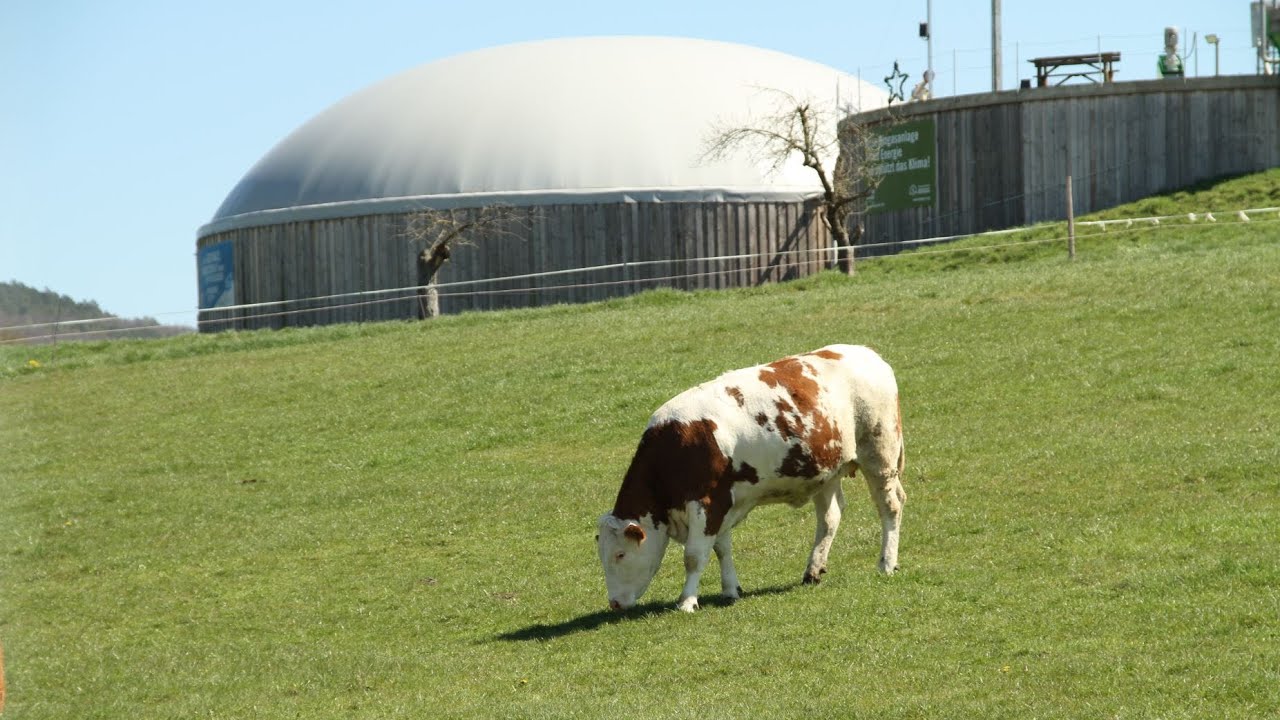Best of Biogas - Güllekleinanlage im Ökolandbau