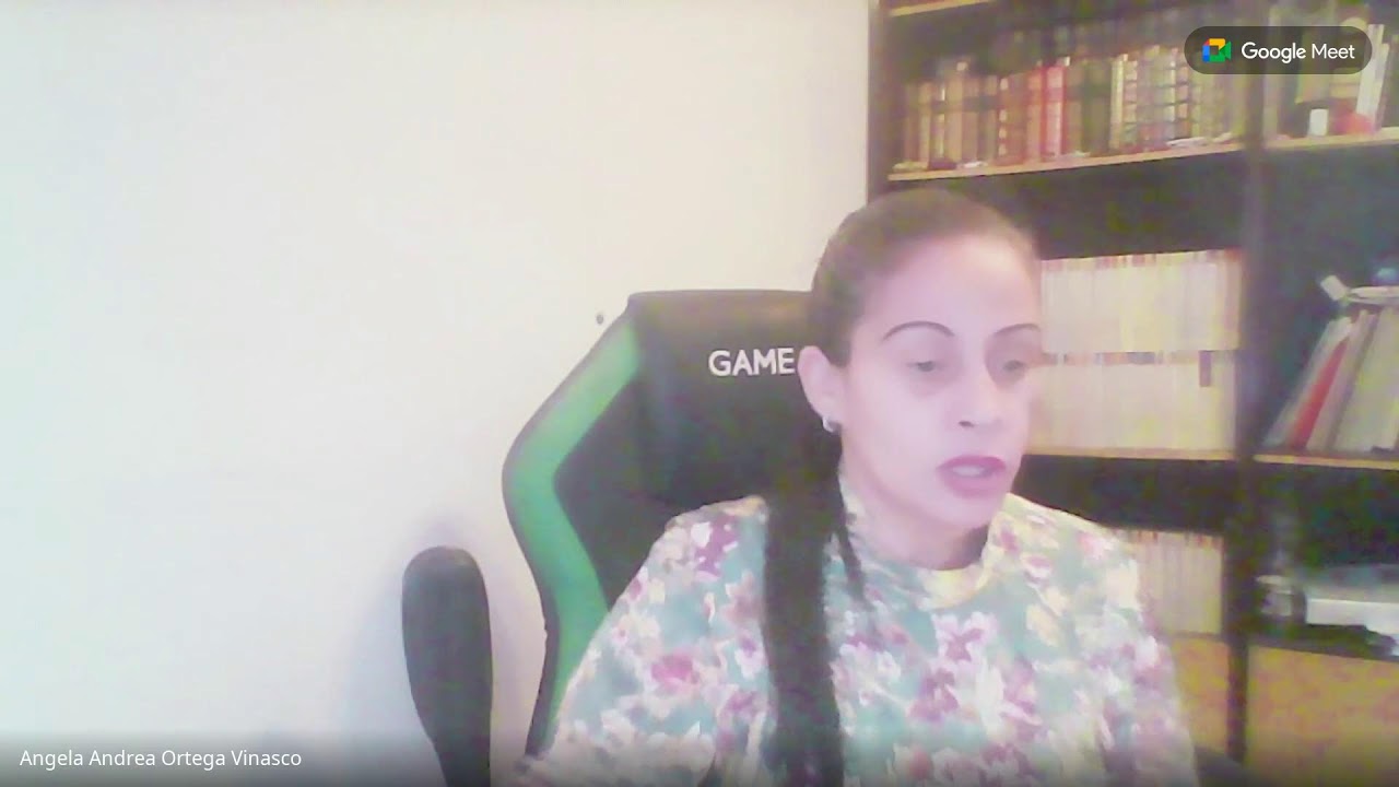 RENDICION QUE PURIFICA Y QUE RESTRAURA PASTORA ANGELA ORTEGA ESPAÑA