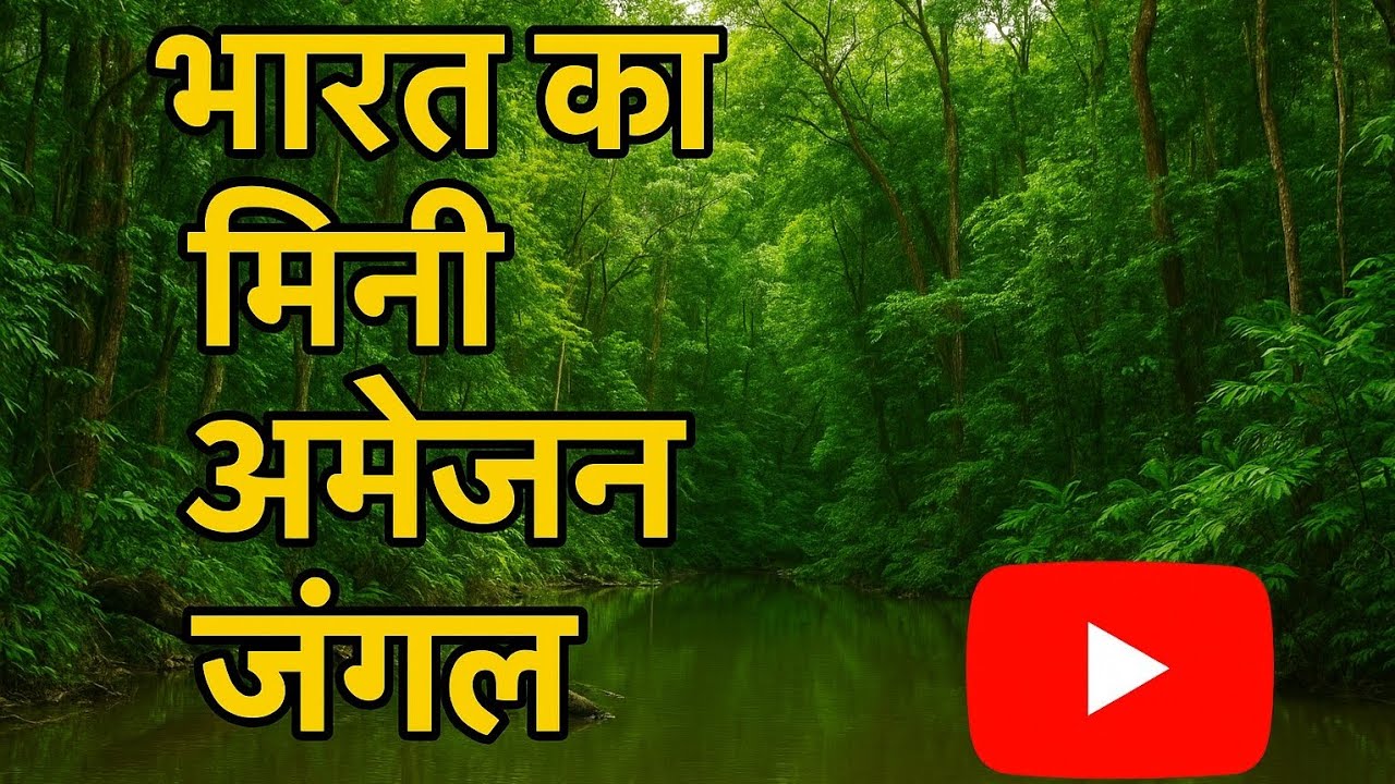 Indian Forest like Amazon| The Lungs of India