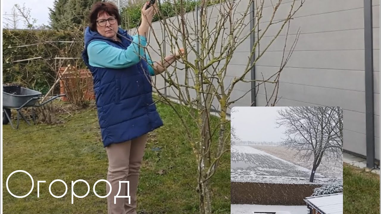 ДВЕ недели назад снег был , а сегодня 16 градусов тепла🌸/На огороде🌳 сегодня 