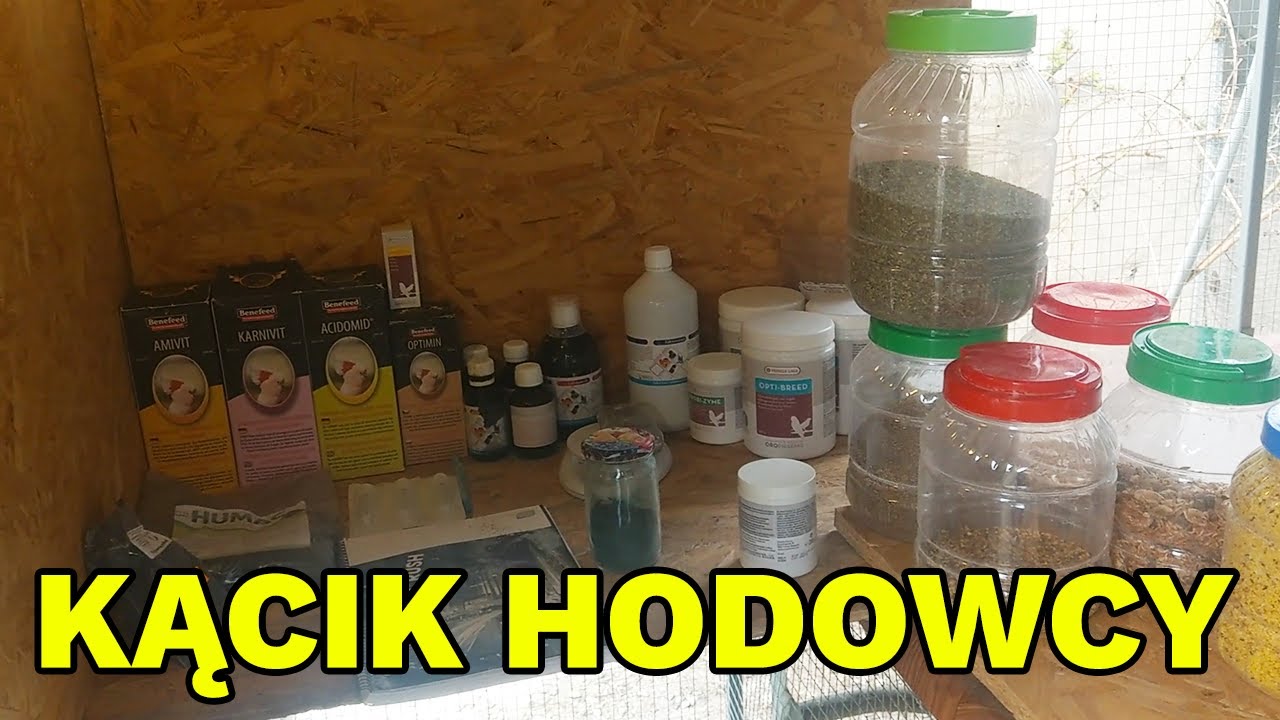 JAK URZĄDZIŁEM SWÓJ KĄCIK DLA PAPUG W WOLIERZE? WITAMINY, SUPLEMENTY, ZIOŁA I INNE