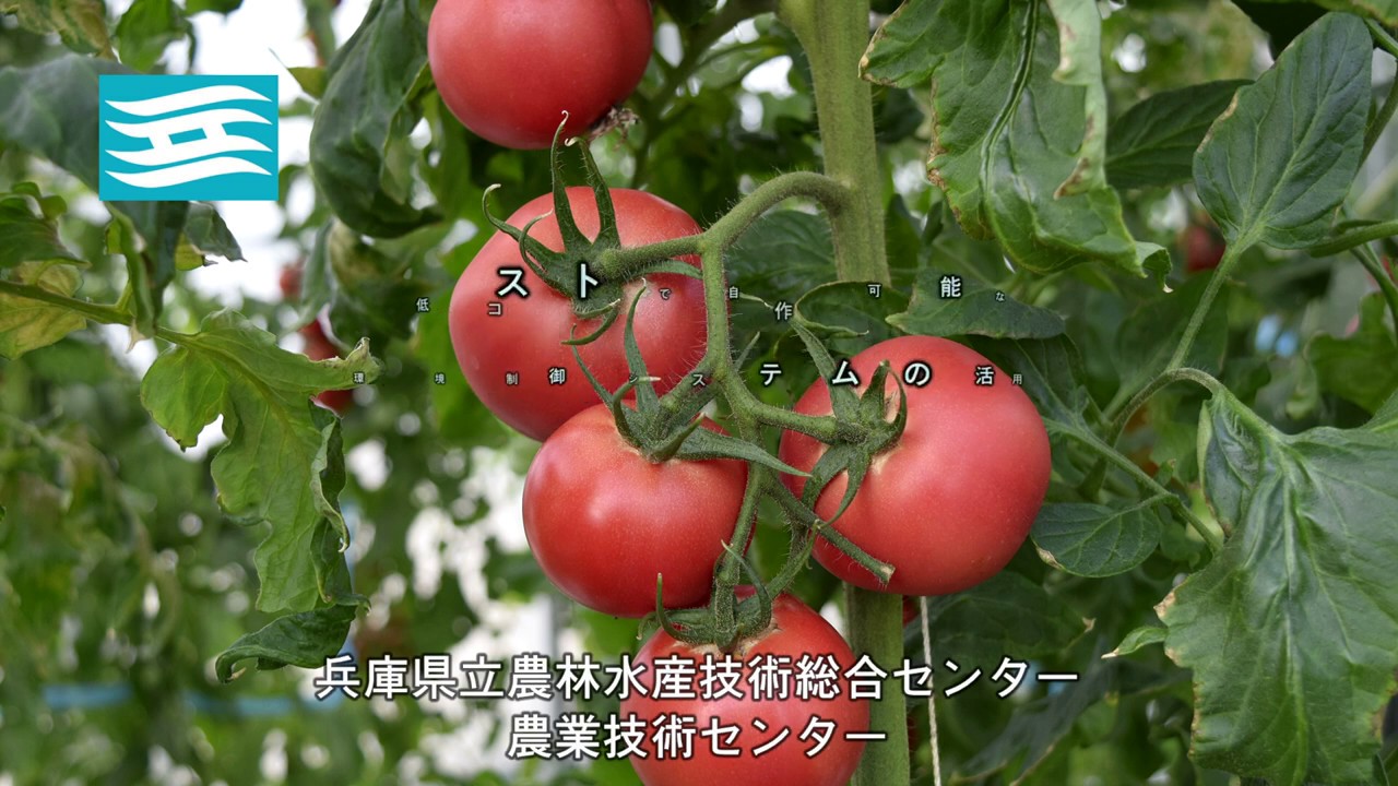 006-低コストで自作可能な環境制御システムの活用