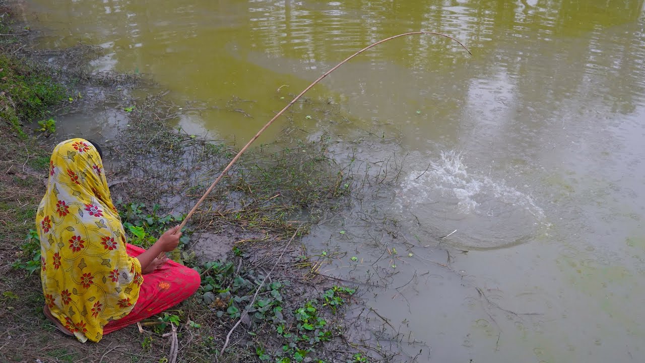 Traditional Hook Fishing || Hook  Fishing in Village || Village Fishing Hunter by @ABTVbd