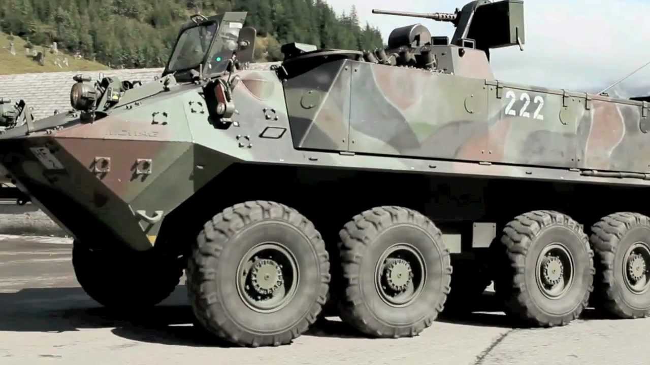 Armée Suisse Bat car 1 SIF 2011