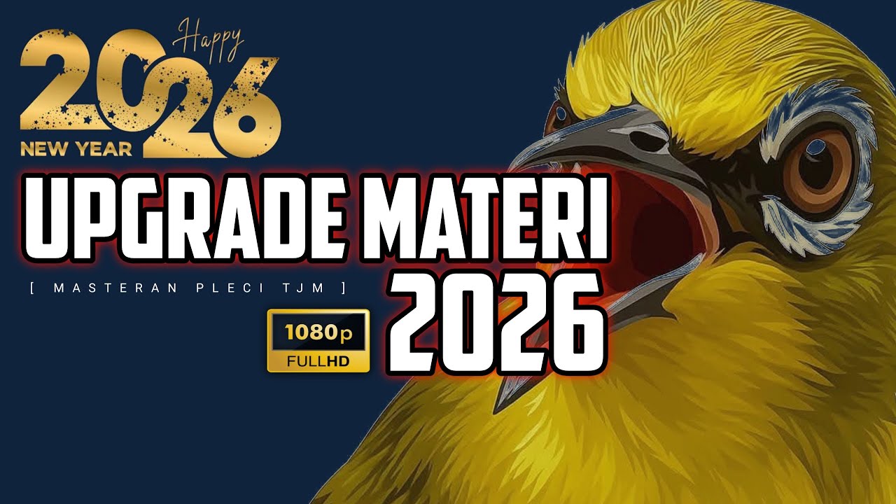 🔴 LIVE Upgrade Masteran Pleci Terbaru 2026 !!!