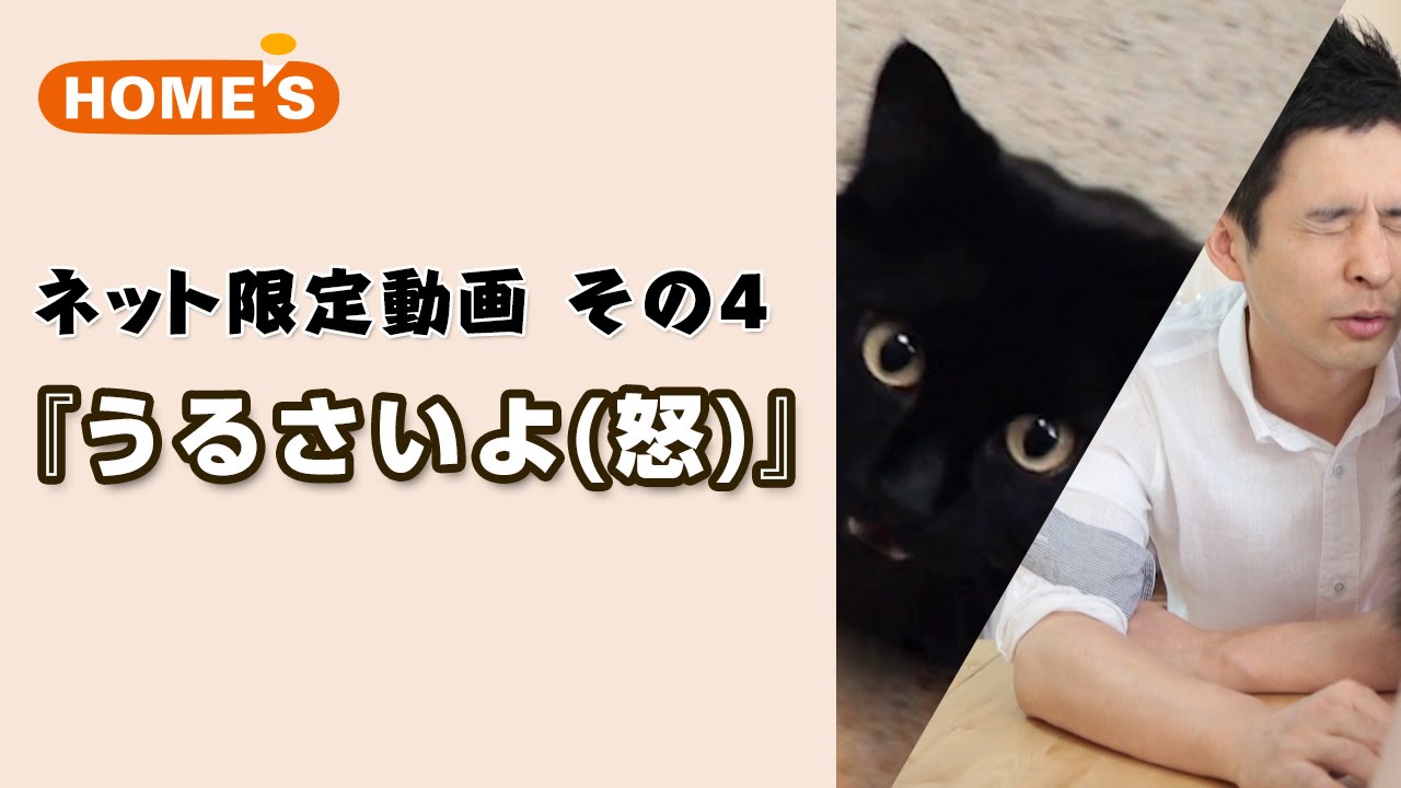 しゃべるねこ・しおちゃんが部屋探しを始めるようです。 【Web限定ホームズCM動画】
