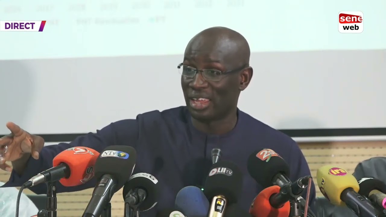 Senelec perdra 2150 milliards entre 2024 et 2033 selon Amadou Ly DG Akilee
