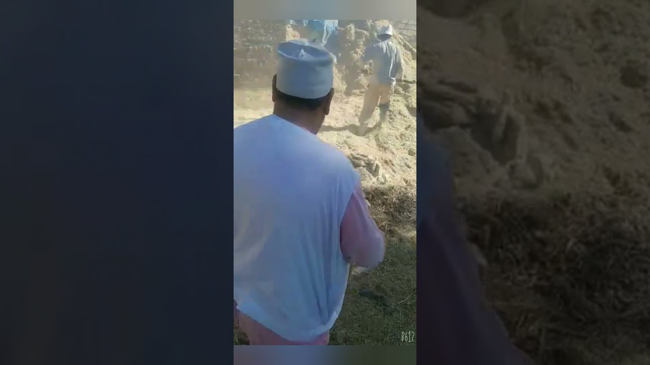 من المحموديه ومعالجه السيلاج والقش بالنوفا بلس