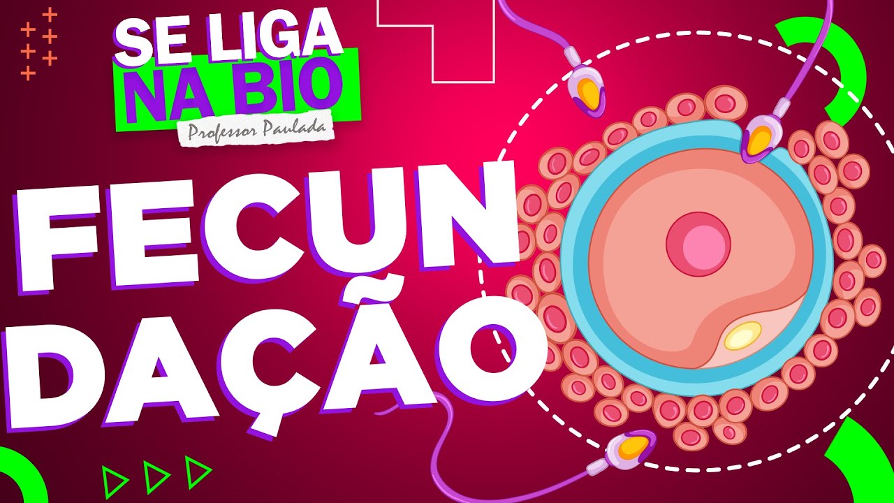 Fecundação Humana | Prof. Paulada